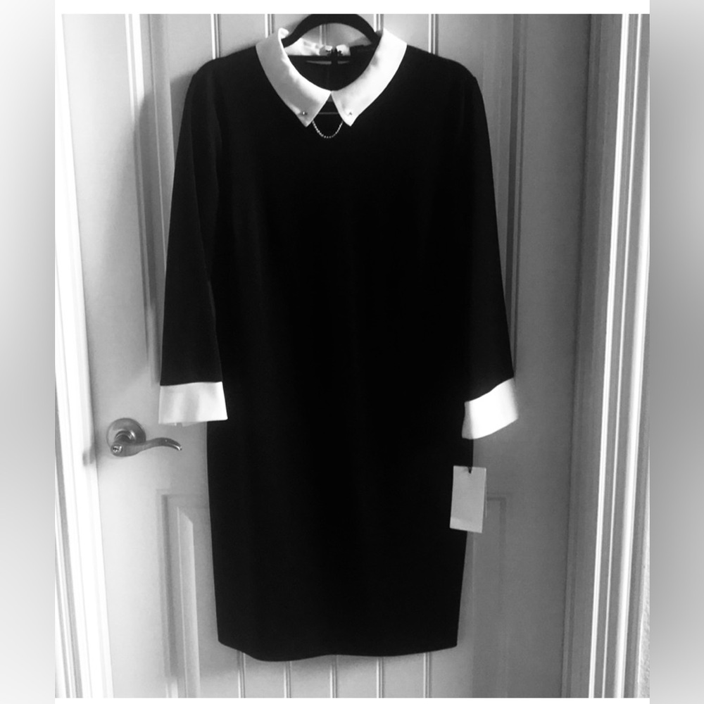 White Collar Black Dress Classic Size Large with Flaws
